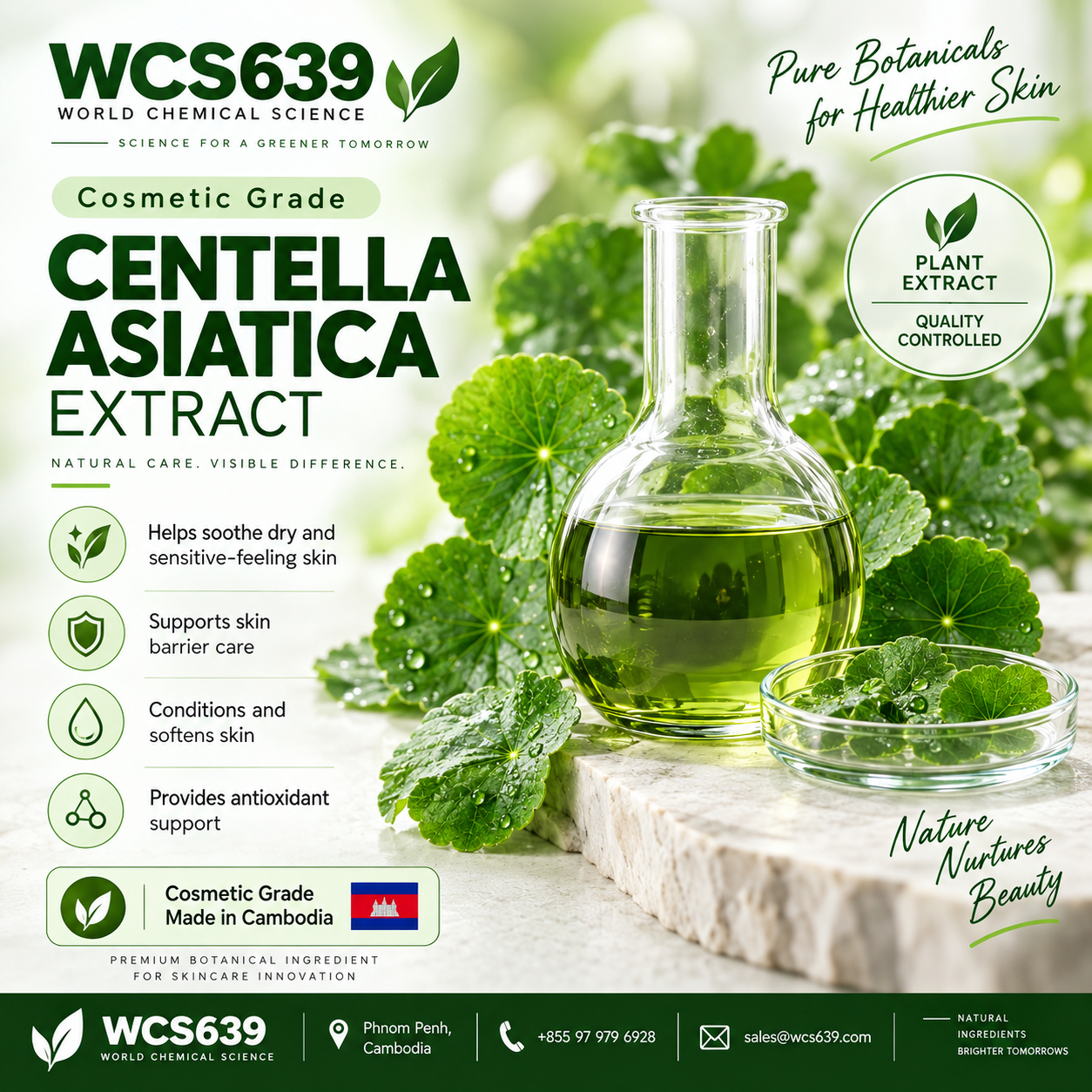 Centella Asiatica Extract cosmetic grade soothing botanical active produced in Cambodia – WCS639